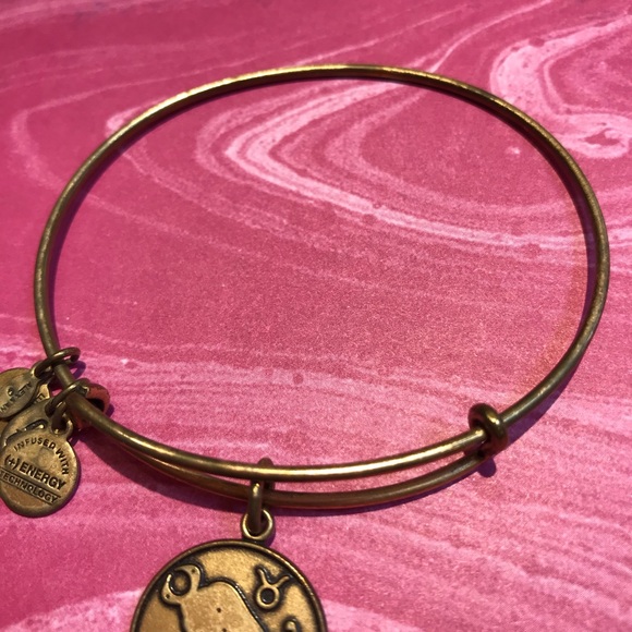Alex and Ani Taurus Bangle Bracelet - Gold - Picture 3 of 5